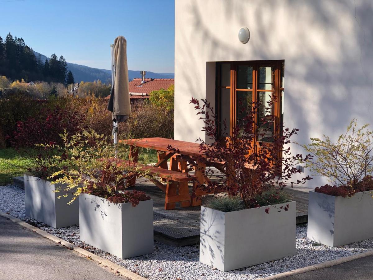 L'Apparte, 83M² Pour S'Evader En Famille Ou A Deux Gerardmer Exterior photo